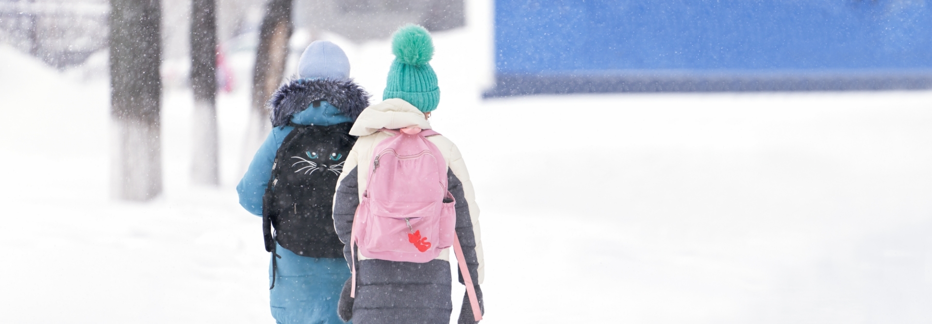 Inclement Weather Days